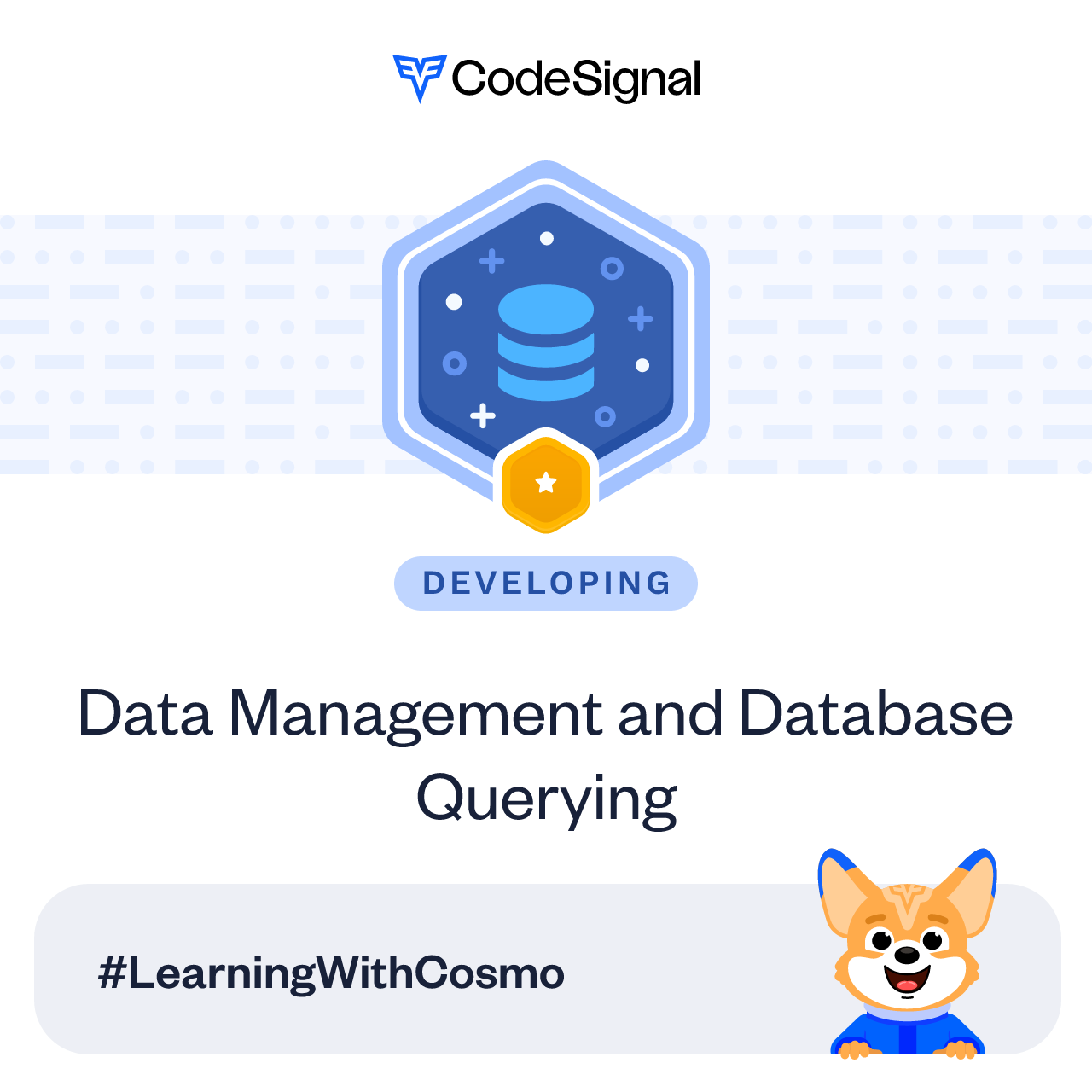 I just earned the developing badge for this skill: Data Management and Database Querying