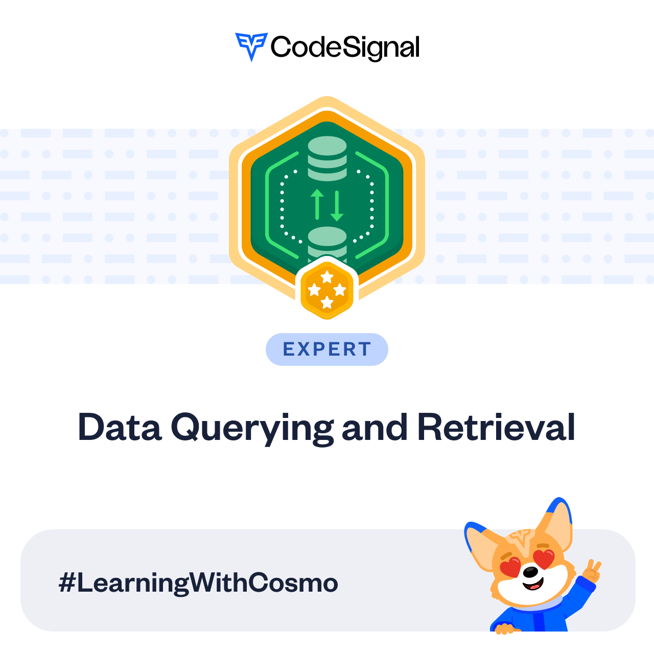 I just earned the expert badge for this skill: Data Querying and Retrieval
