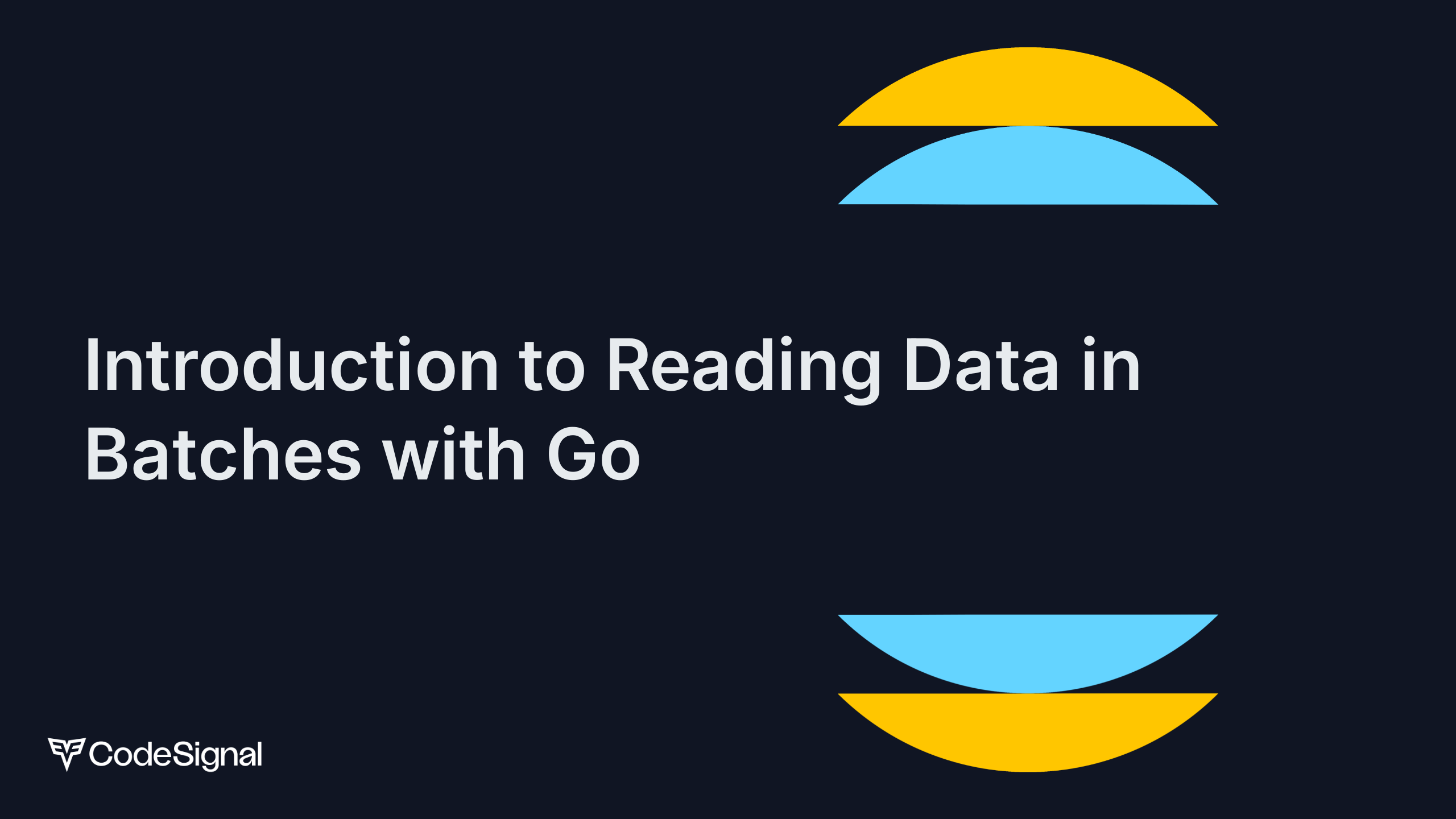 Reading and Processing CSV Files in Batches with Go | CodeSignal Learn